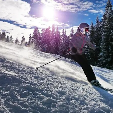 Mountain Aleksia- With Jacuzzi * Razlog